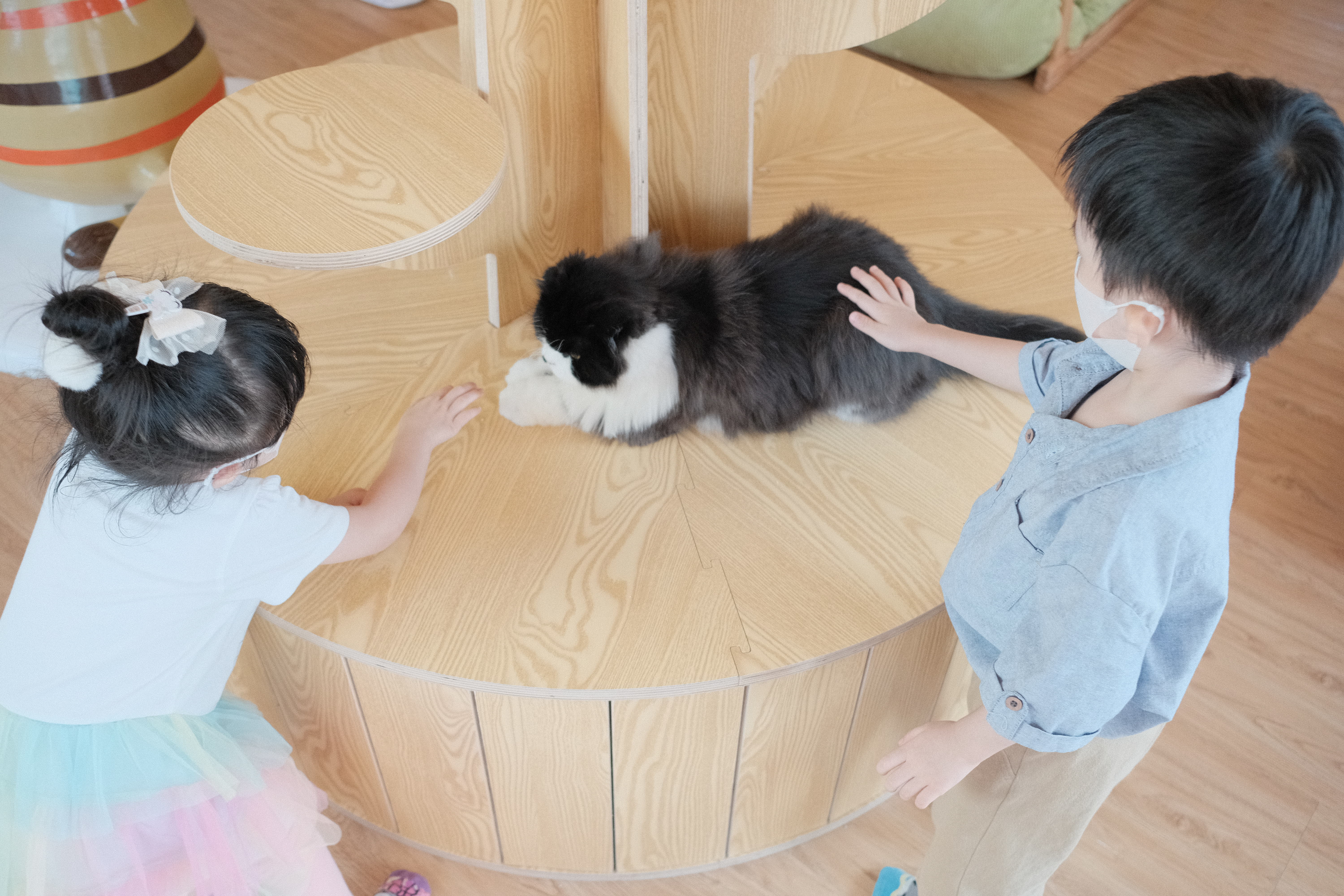 [親子好去處]木系日式貓咪cafe