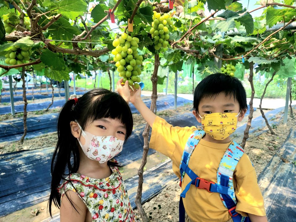 [親子好去處] 日本感農場 ~摘香印提子+白色苦瓜